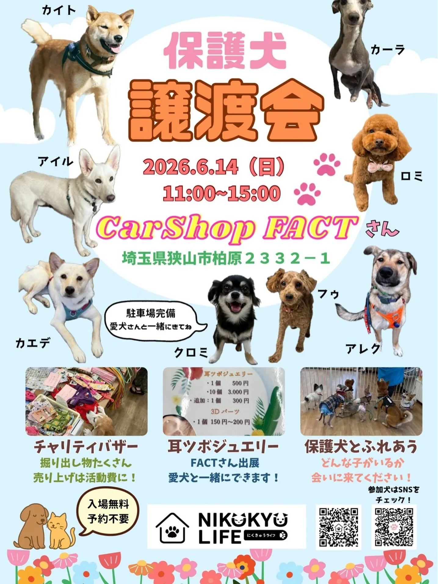 🐶🚗【保護犬譲渡会開催のお知らせ】🚗🐶